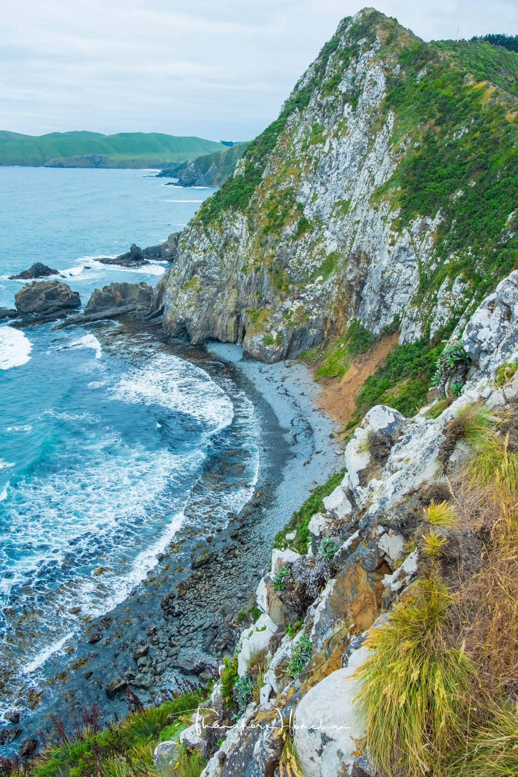S__917678_0